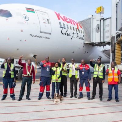 IATA Certified Travel & Aviation Courses
